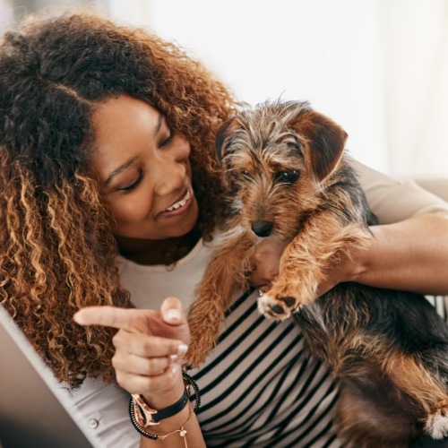 a person holding a dog on a couch